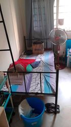 Hougang Street 91 (Hougang),  #423957491
